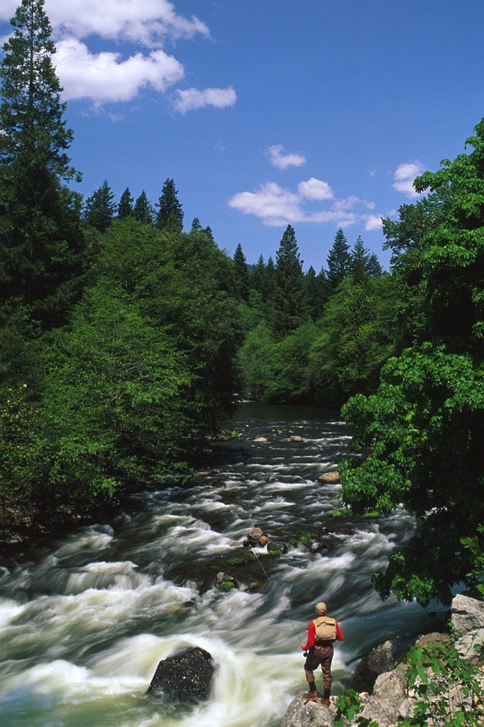 Upper Sacramento River, California